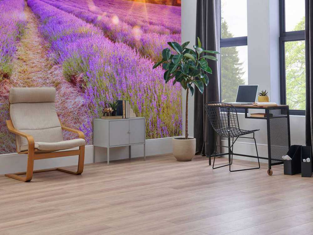 Lavender field at sunset