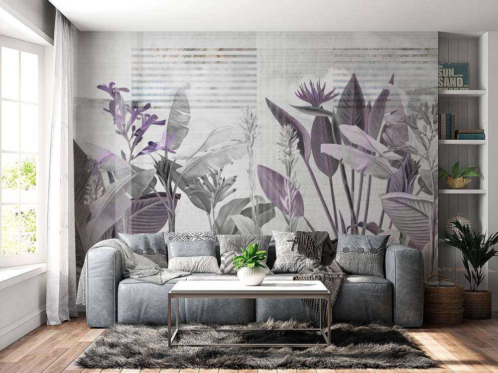 Dreams and Tropics 5