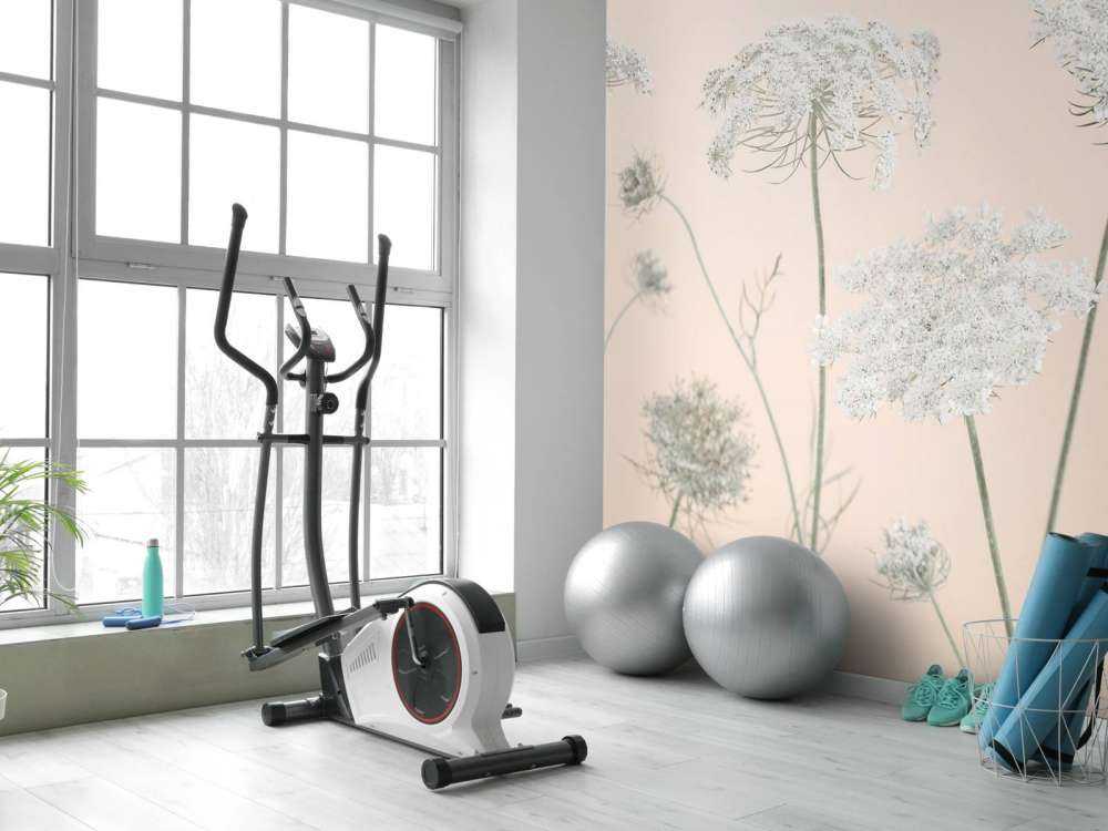 Cow parsley flowers on coloured background