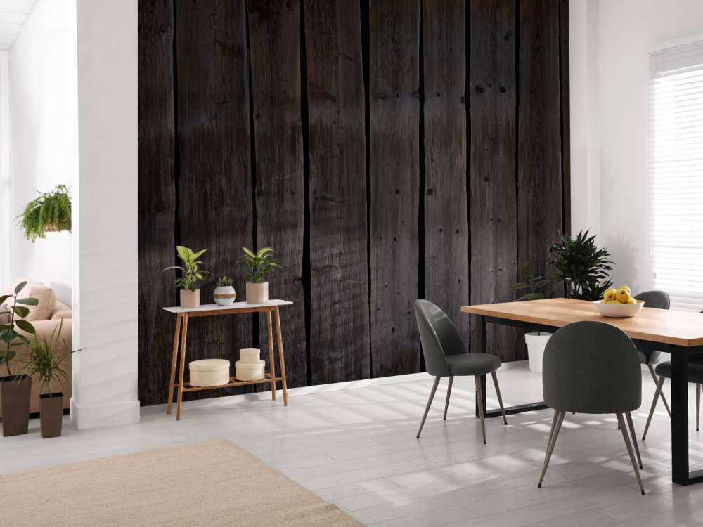 Light fall on dark wood