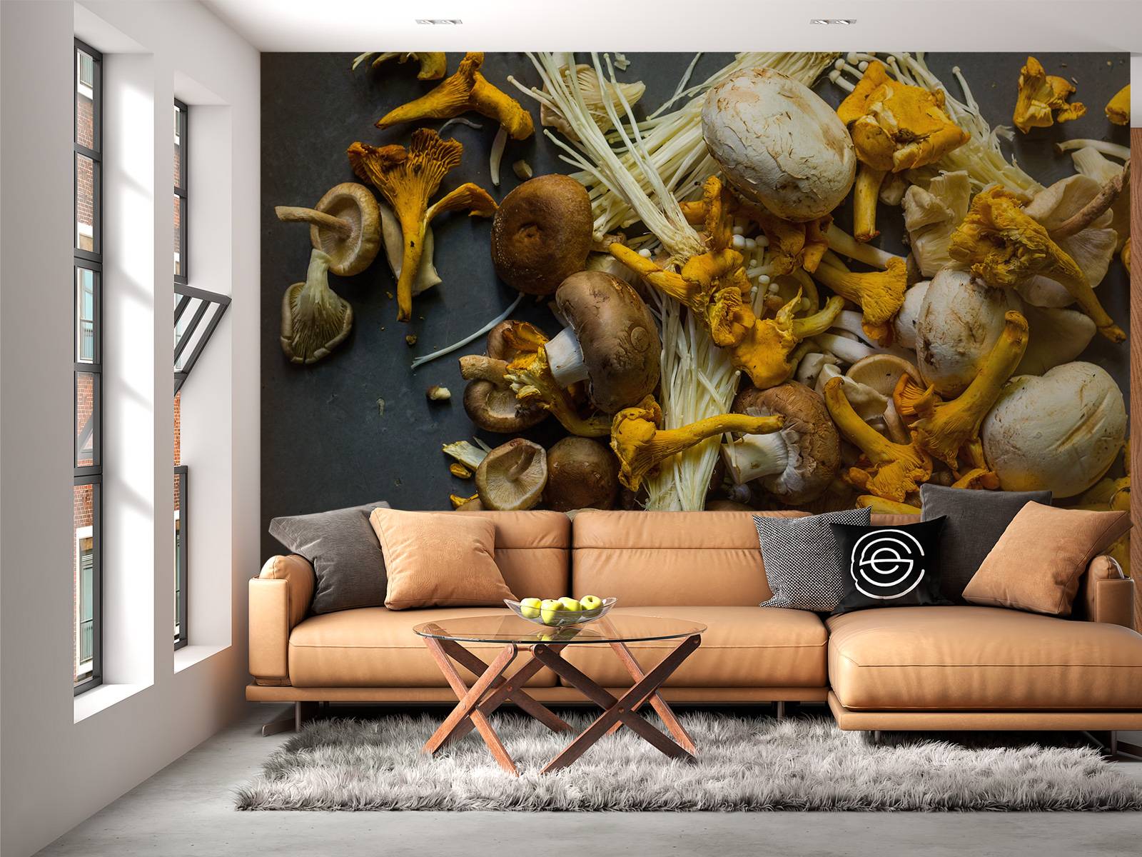 Different mushrooms