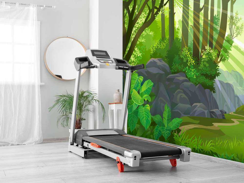 Sunlight in the jungle