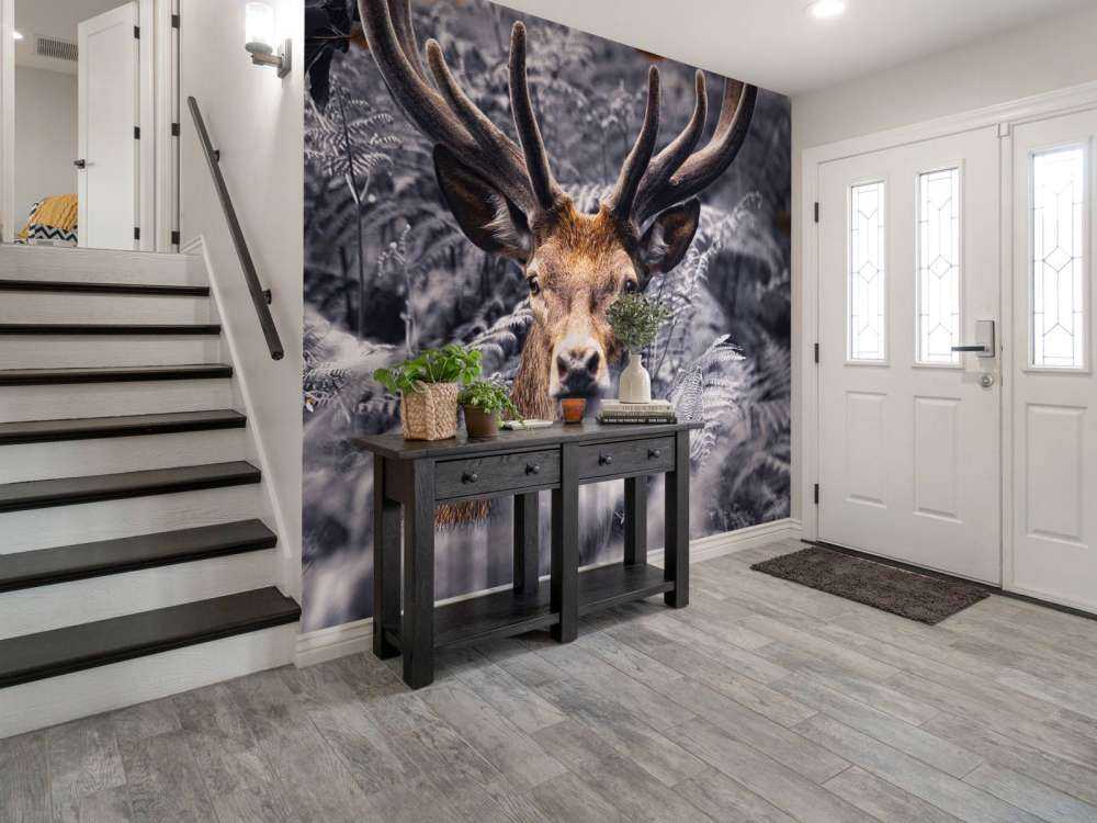 Close-up deer