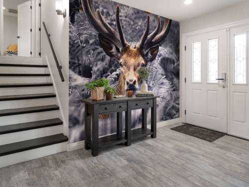 Close-up deer