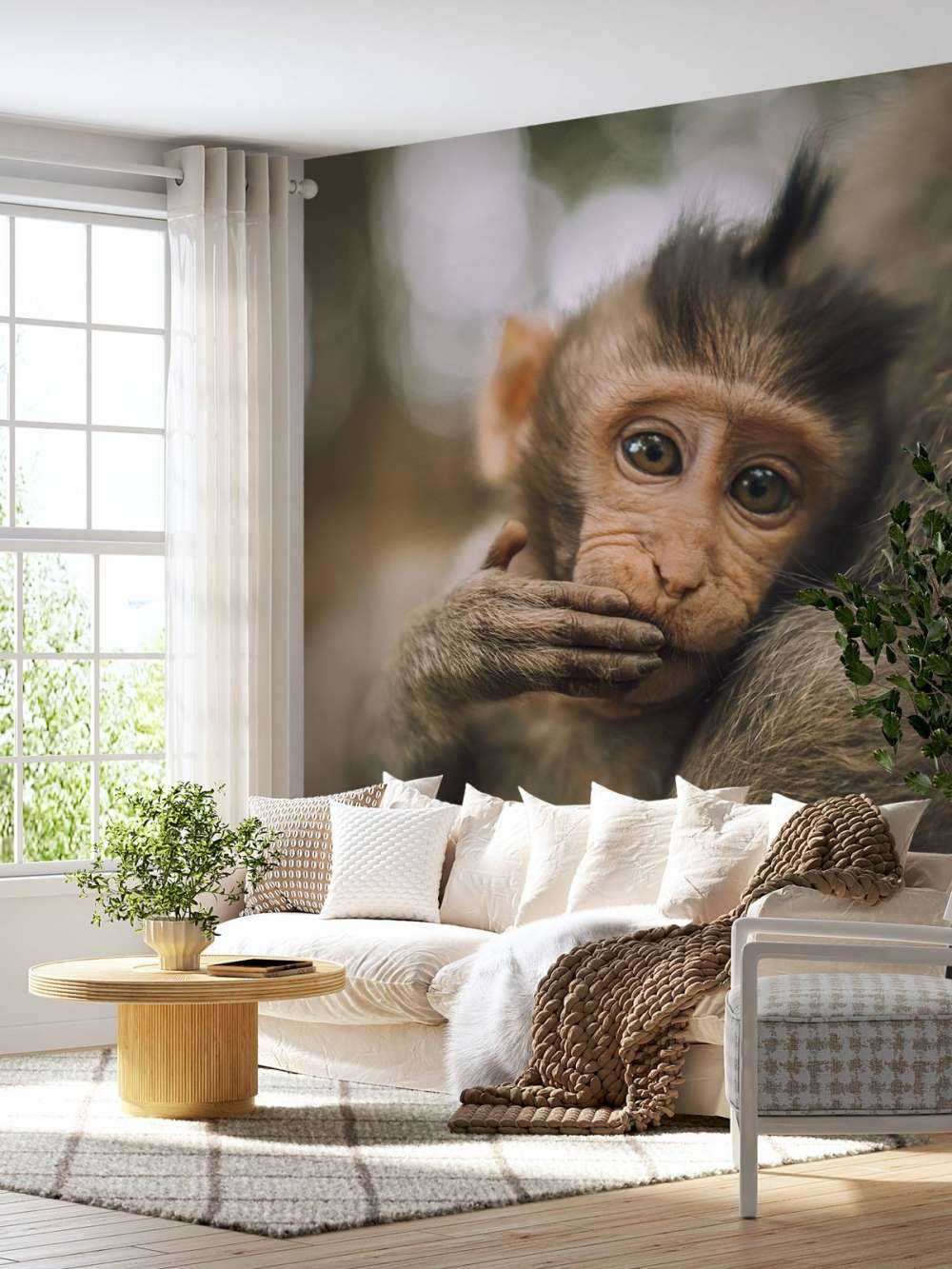 Close-up of a monkey