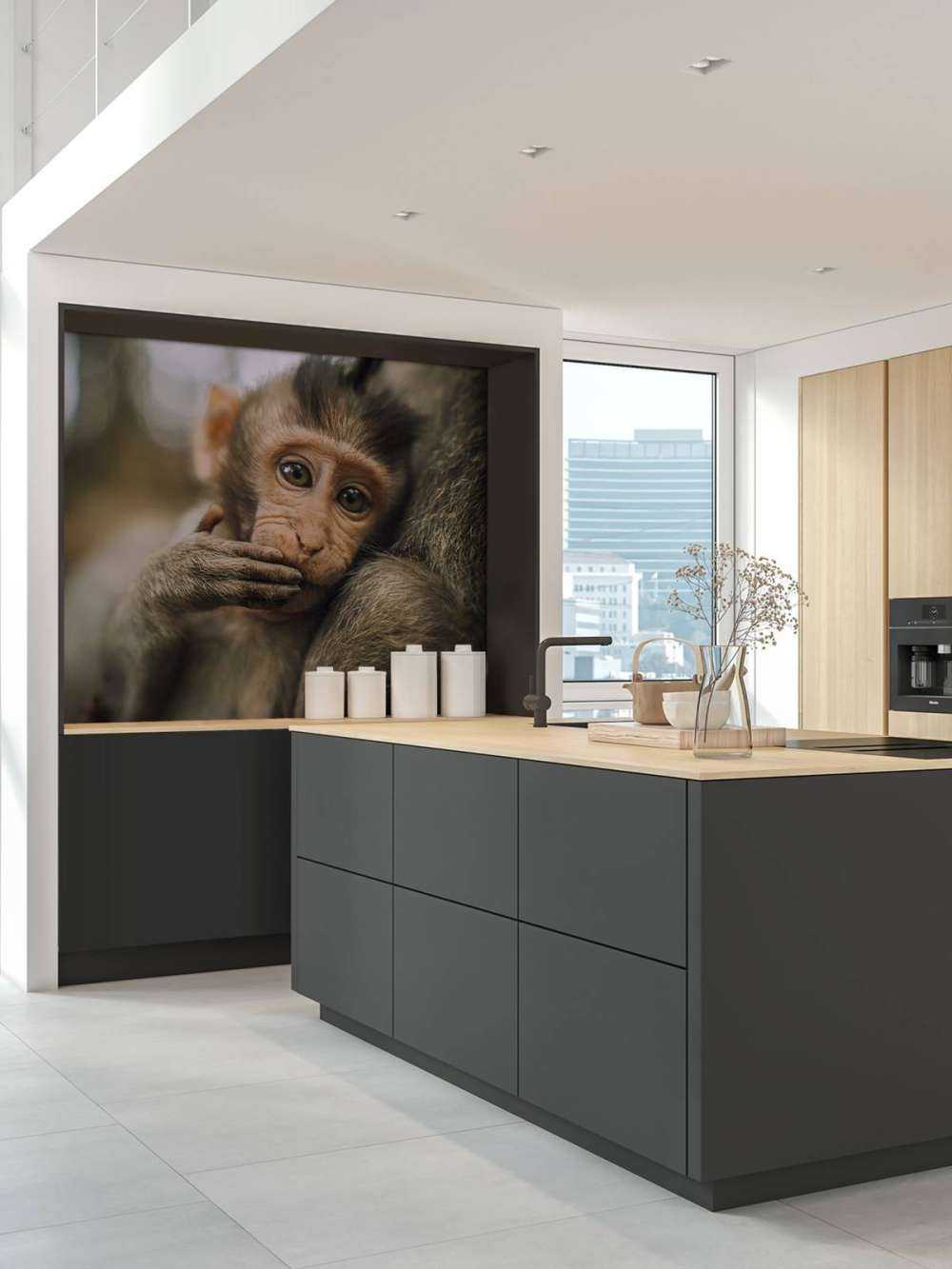 Close-up of a monkey