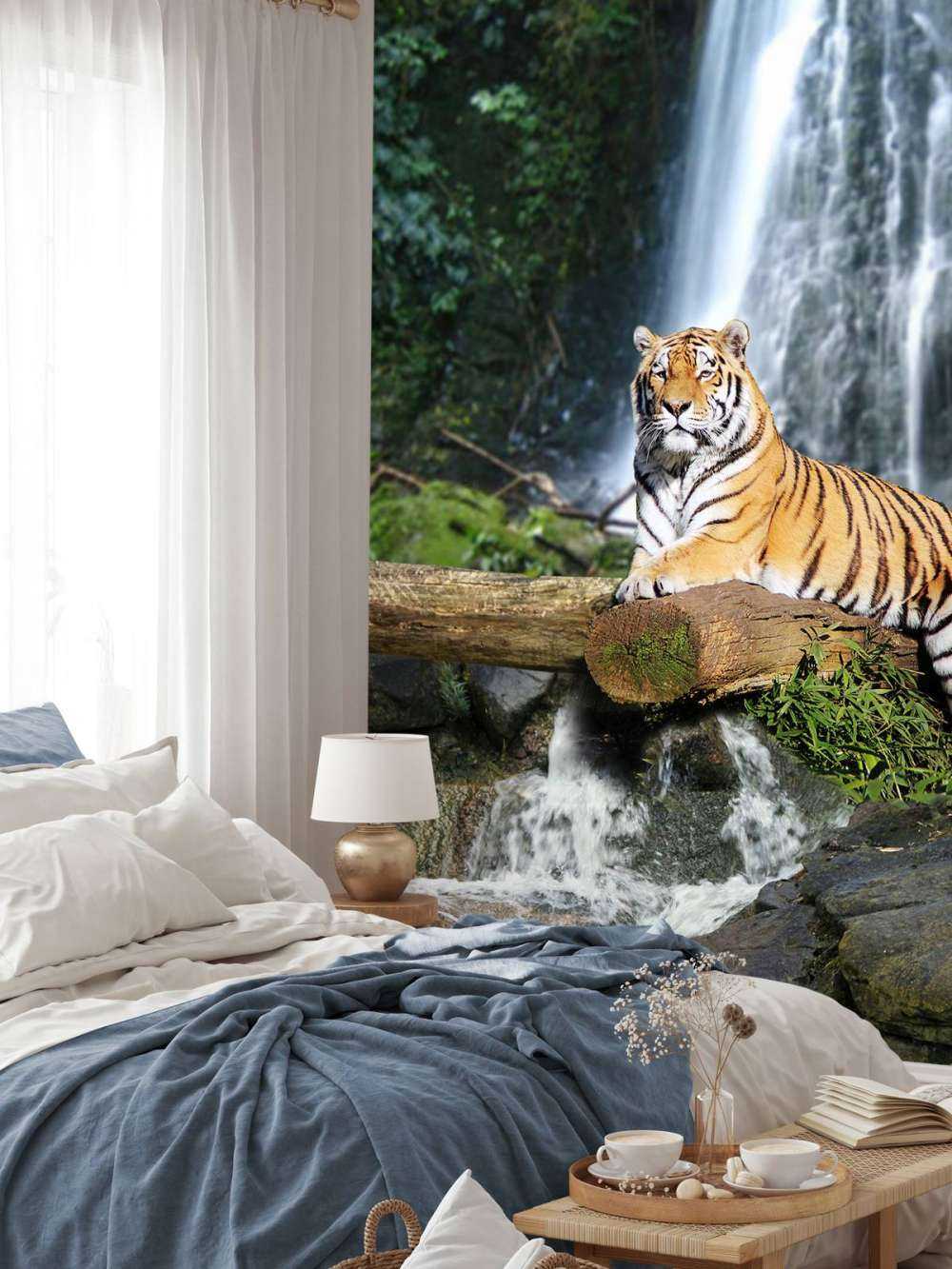 Tiger in the jungle