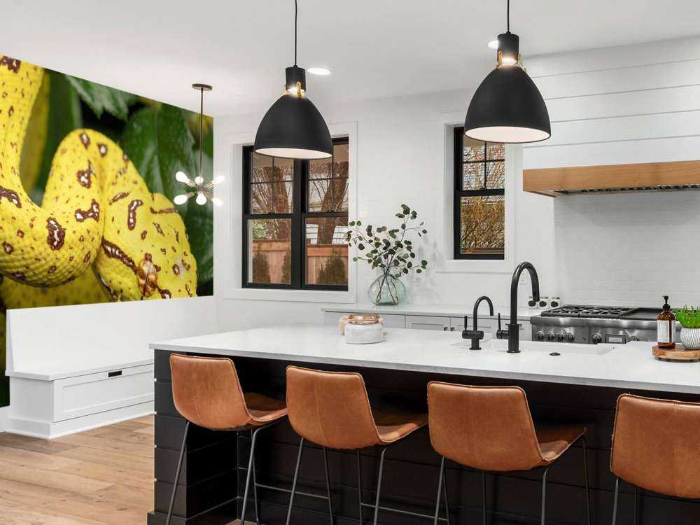 Close-up tree python