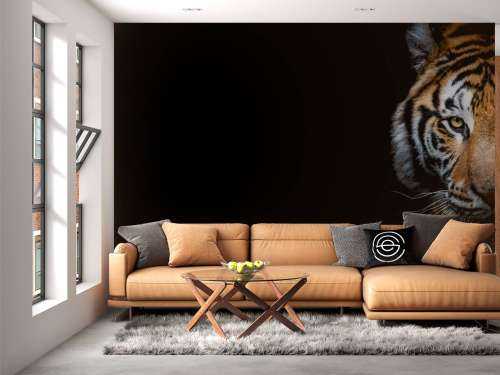 Tiger panorama