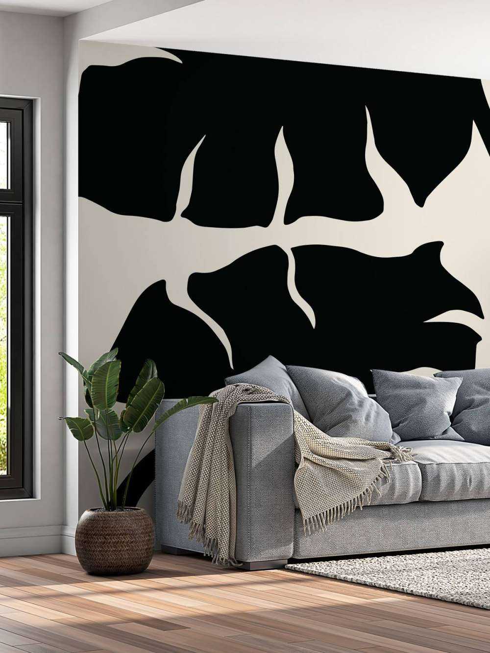 Monstera Black