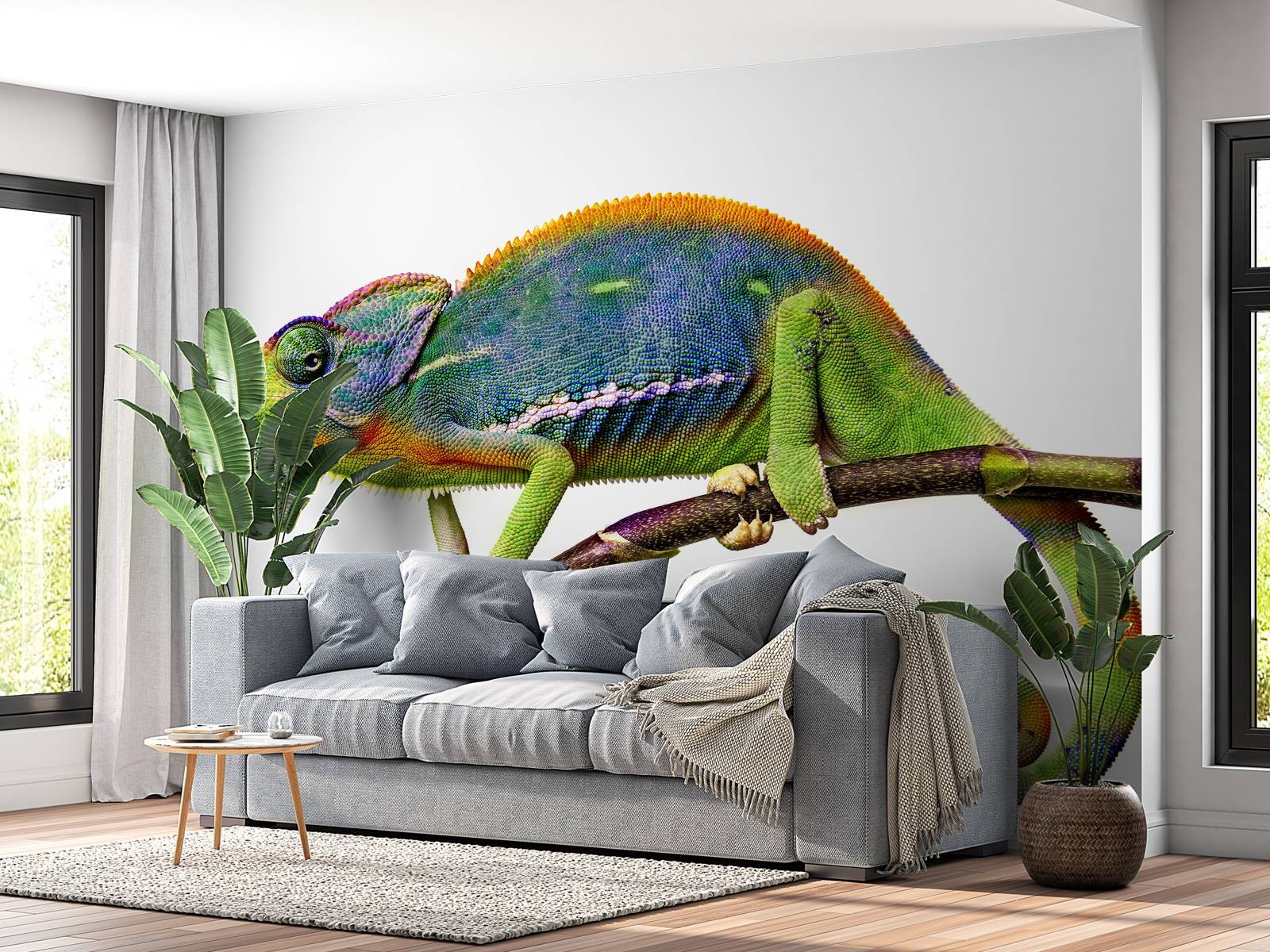Chameleon