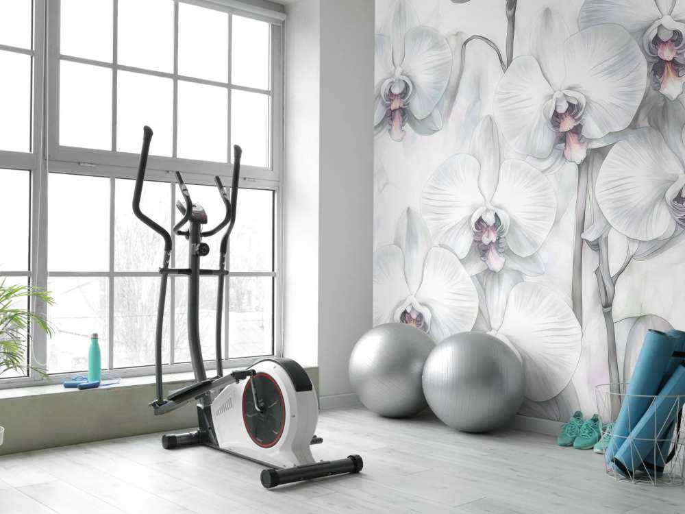 Orchids Paradise Green