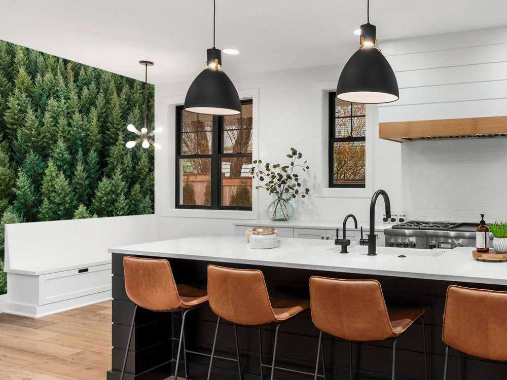 Douglas firs from above