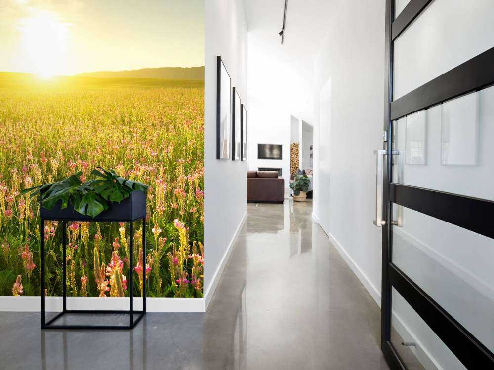 Zonsopkomst bij een bloemenveld