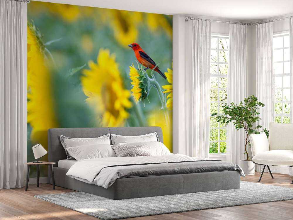 Sunflower field with red bird