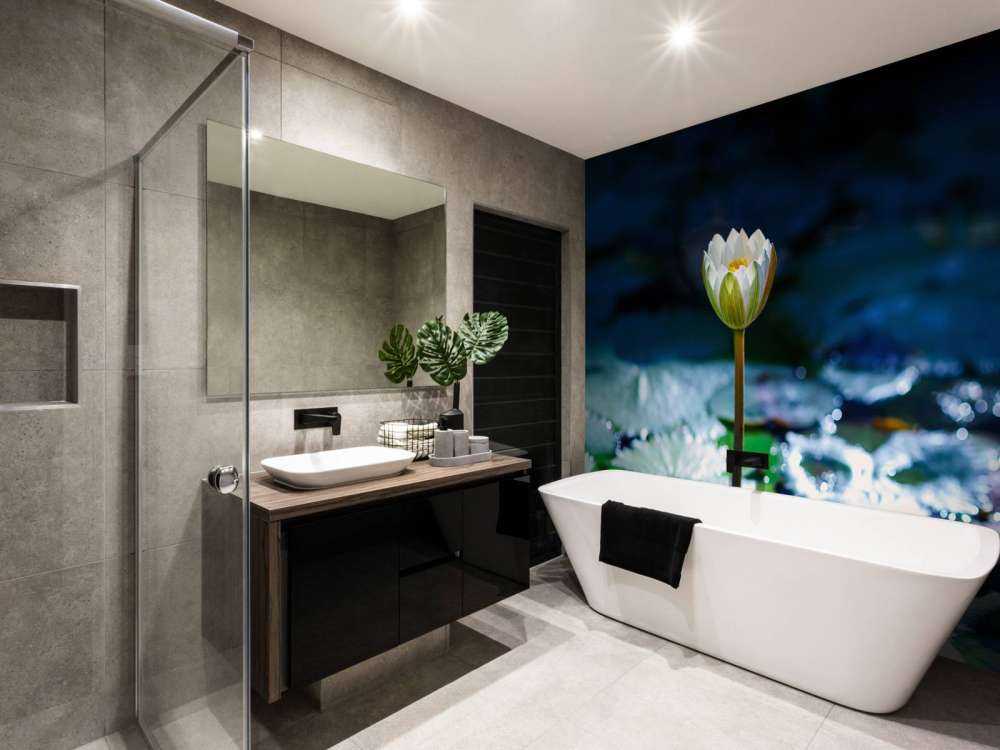 Lotusbloem in opkomend zonlicht