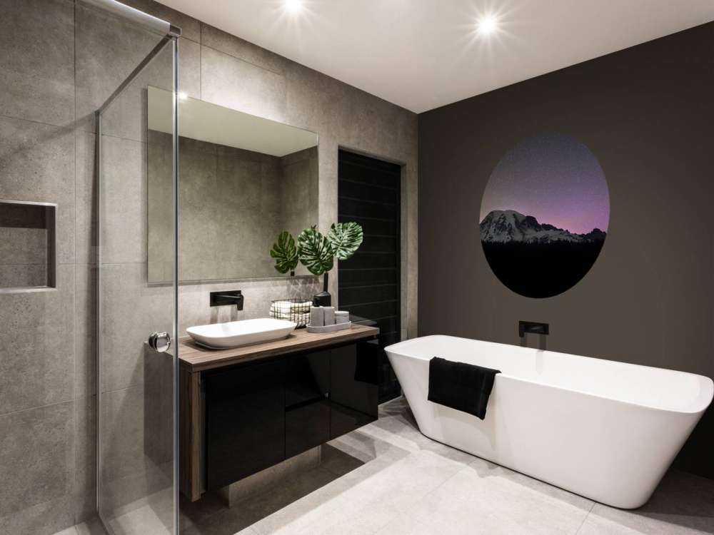 Mount Rainier with northern lights