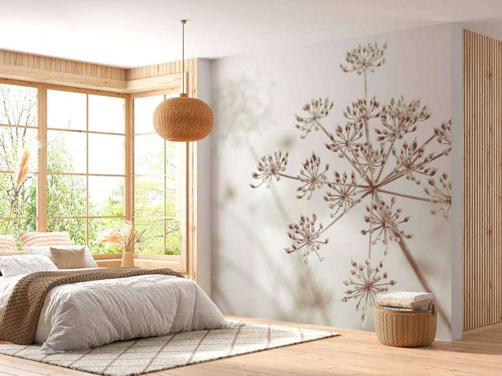 Close-up cow parsley