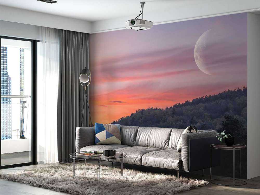 The moon