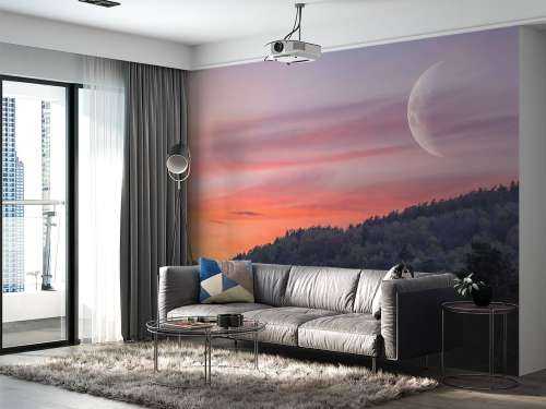 The moon