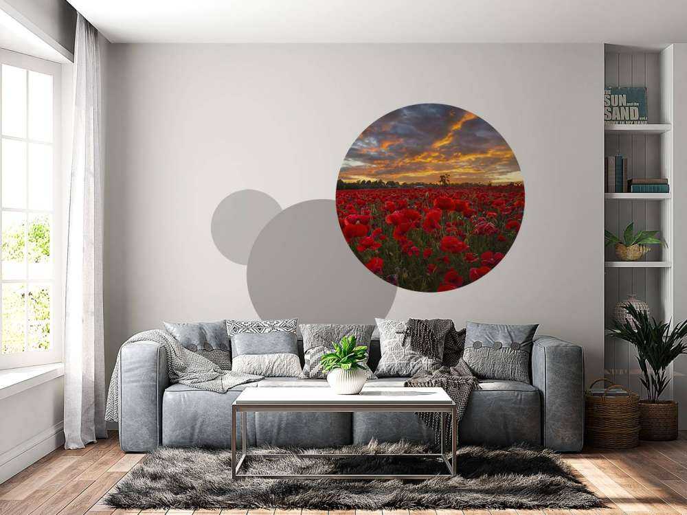 Poppies field with beautiful sky