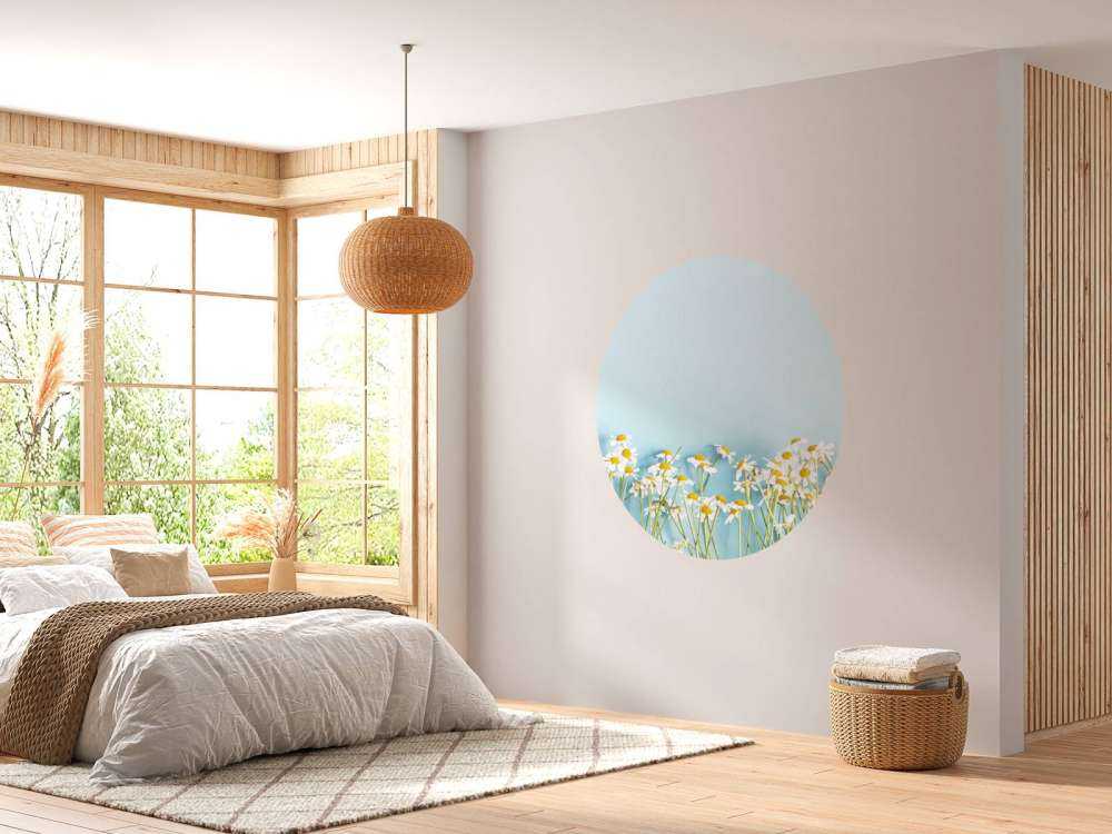 Kamille bloemen met een blauwe achtergrond