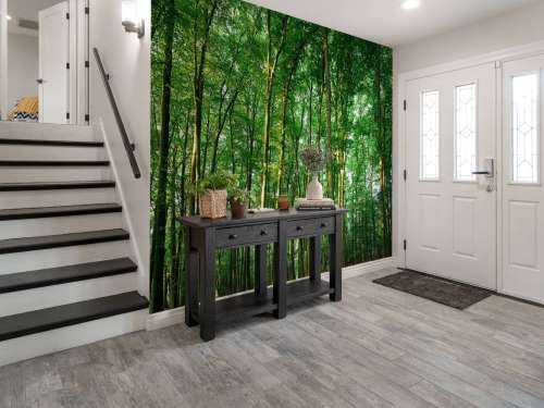 Green forest 