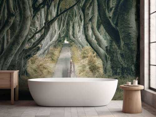Irish Hedges