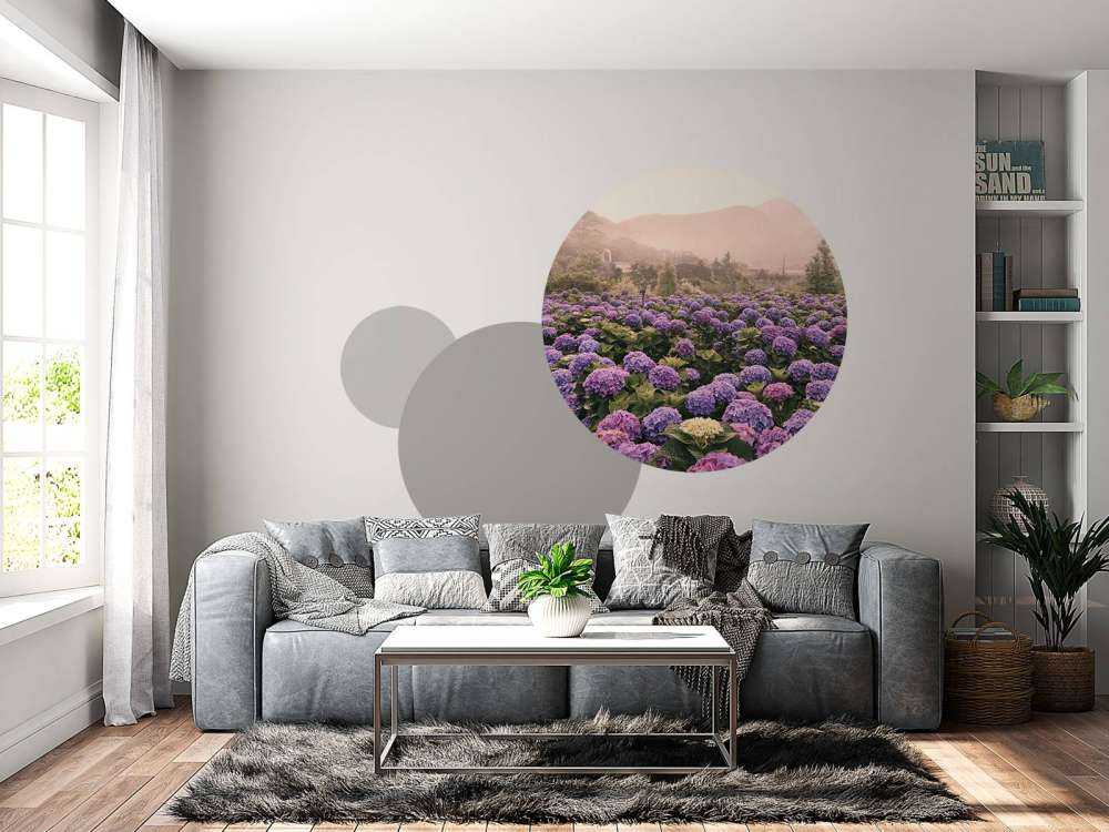 Hydrangeas in Beitou