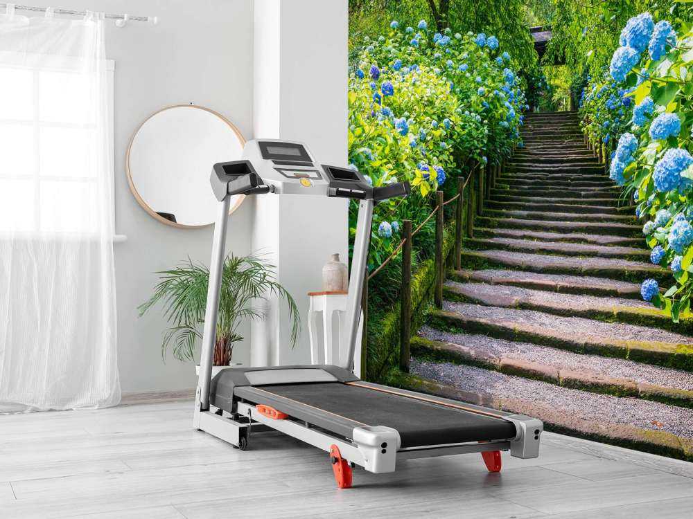 Stairs between hydrangeas