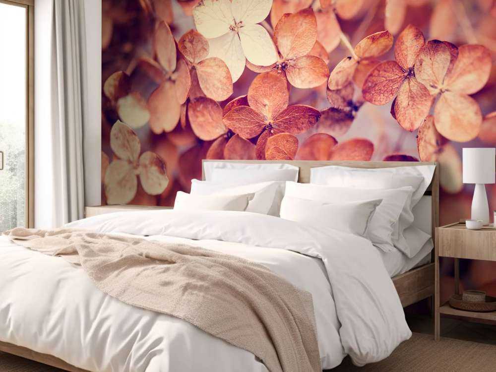 Dry hydrangeas