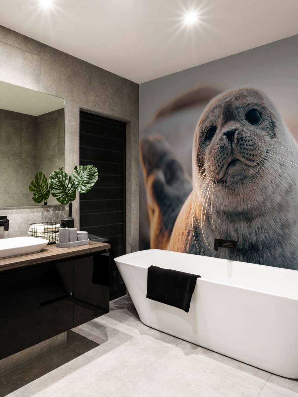 Seal on beach in evening light