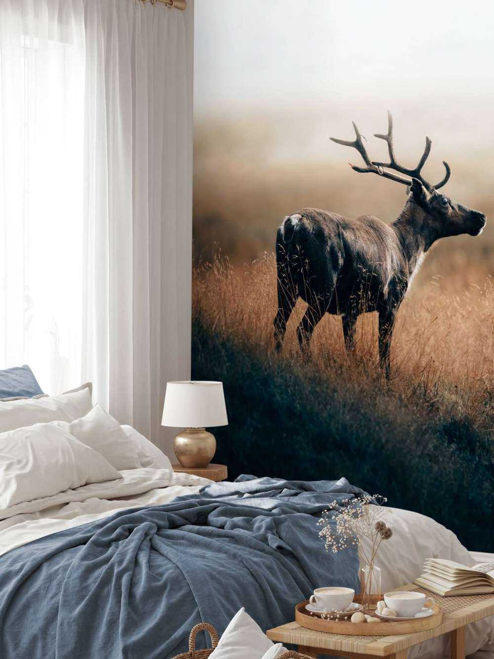 Reindeer in the high grass