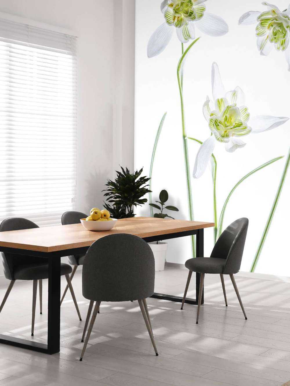 Galanthus Flore Pleno