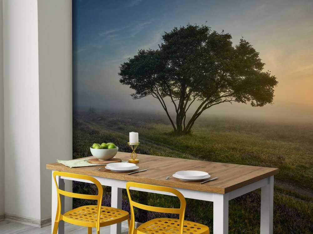 Sunrise on the heath