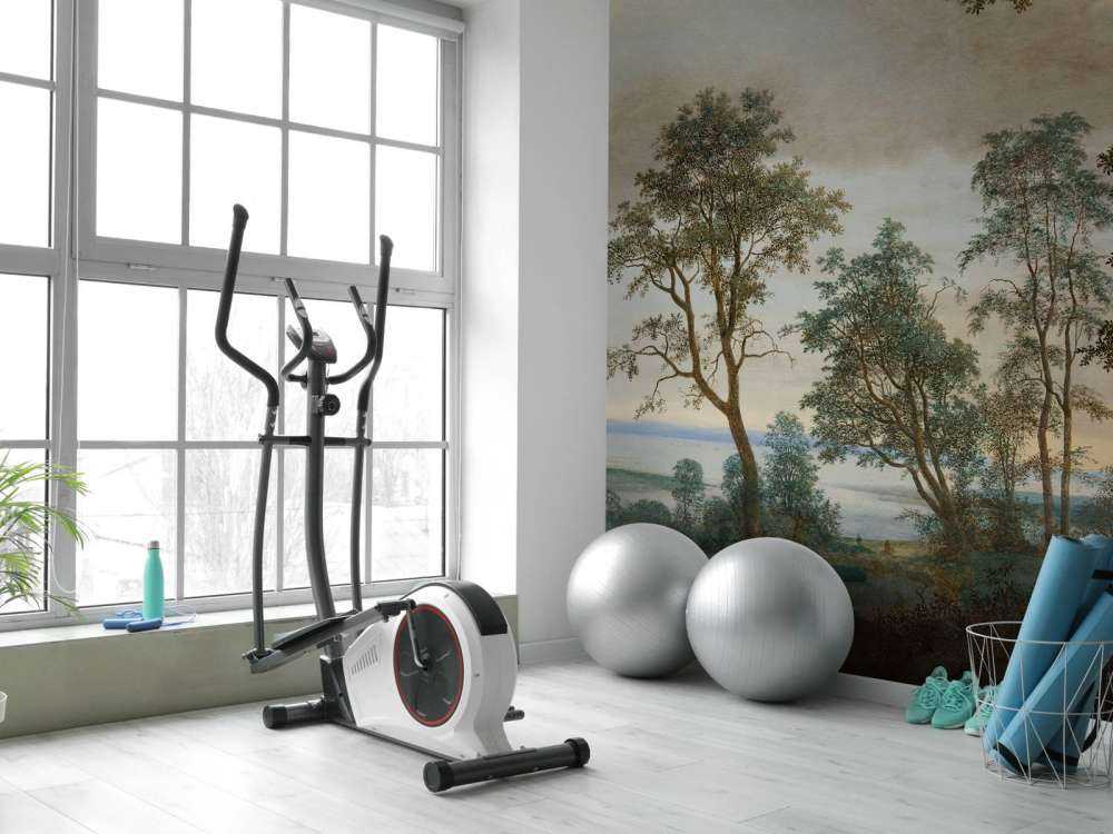 River landscape seen through trees