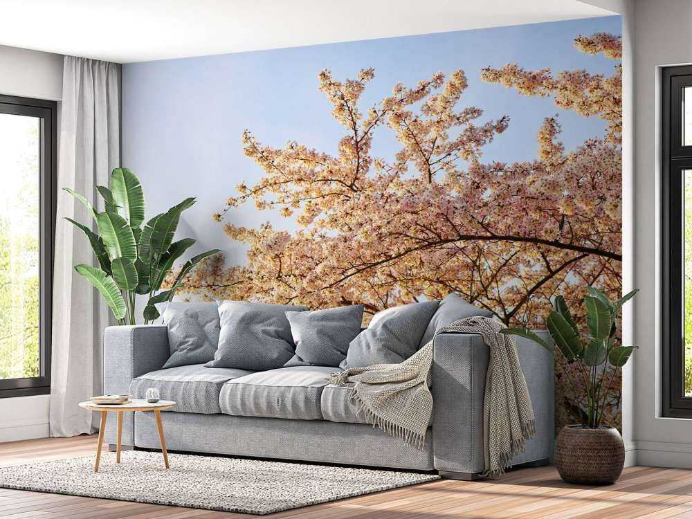 Blossom branch in bloom