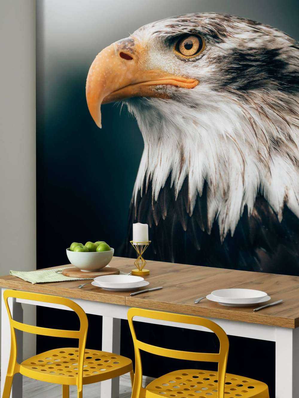 Close-up sea eagle