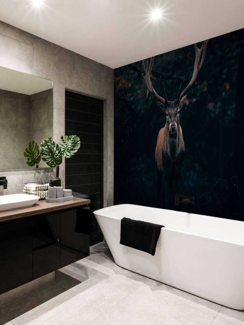 Fallow deer in the woods