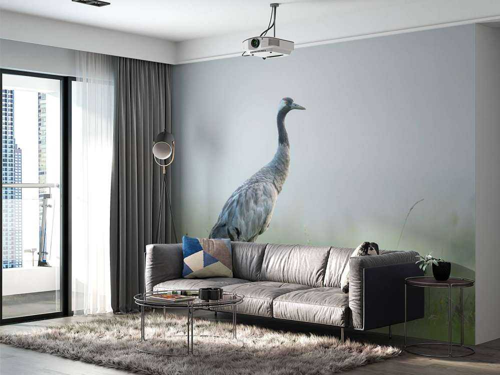 Kraanvogel in de ochtendmist