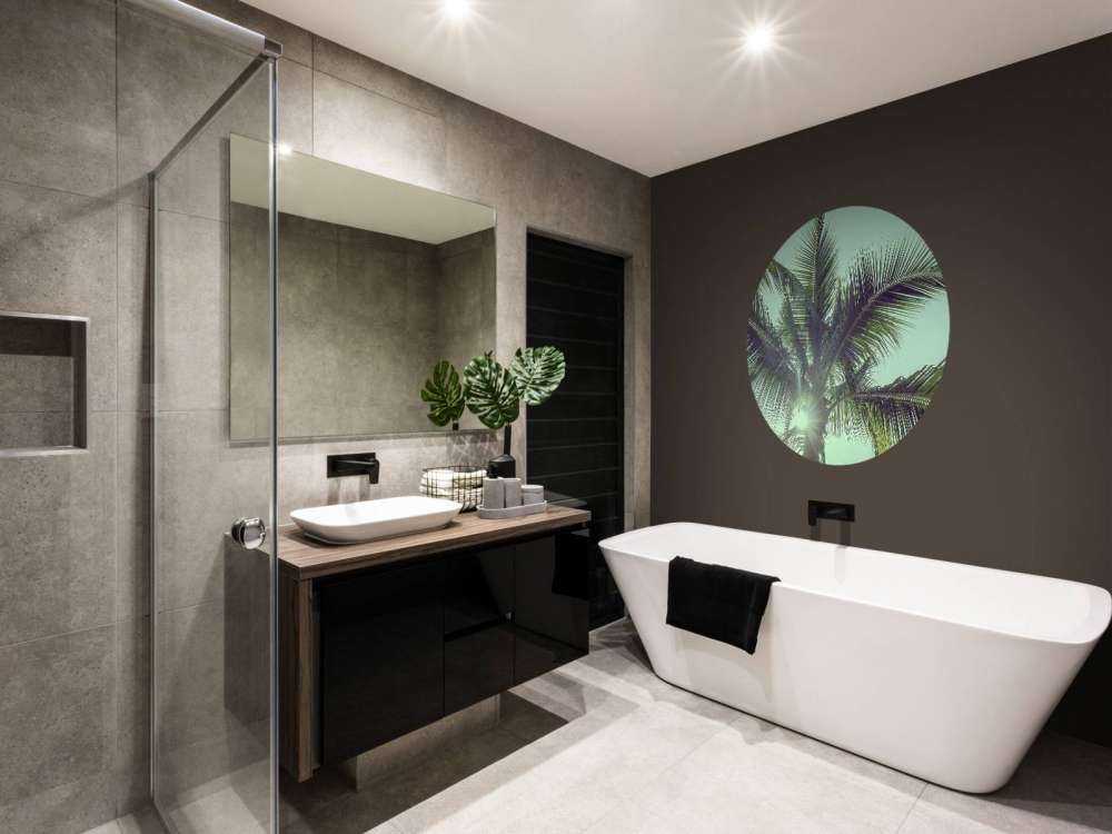 Palm trees in the sun