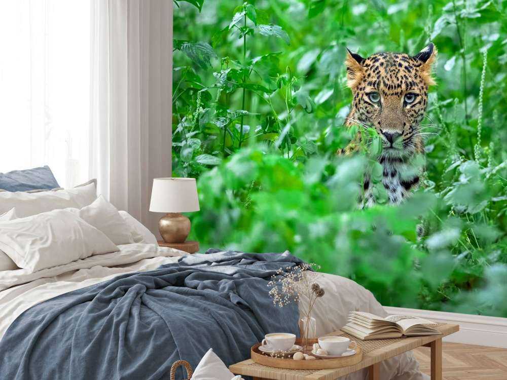Leopard in the forest