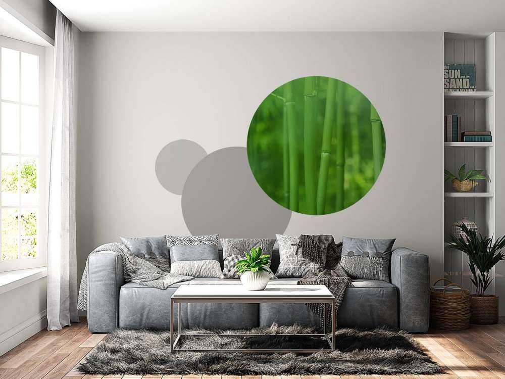 Bamboo and leaves