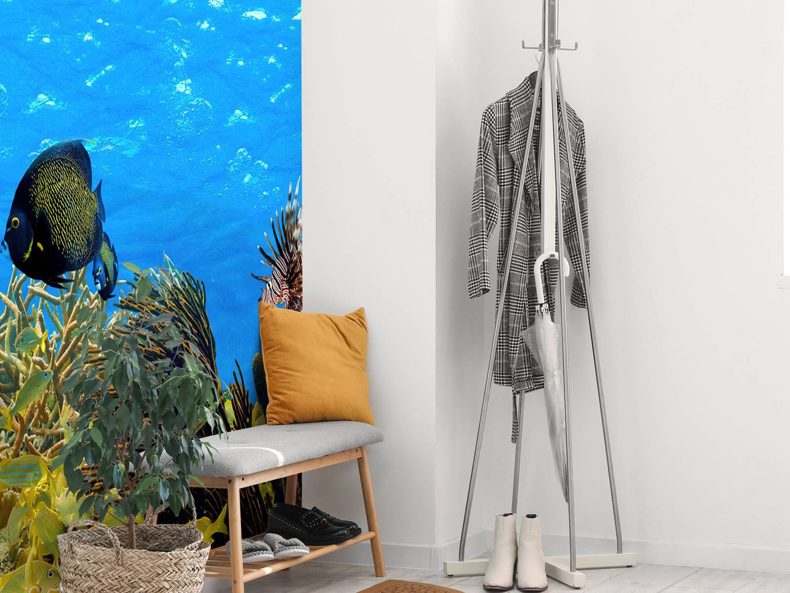 Underwater panorama
