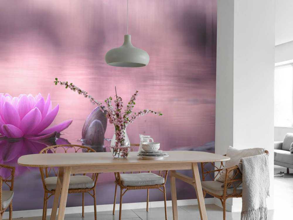 Lotus flower in pond