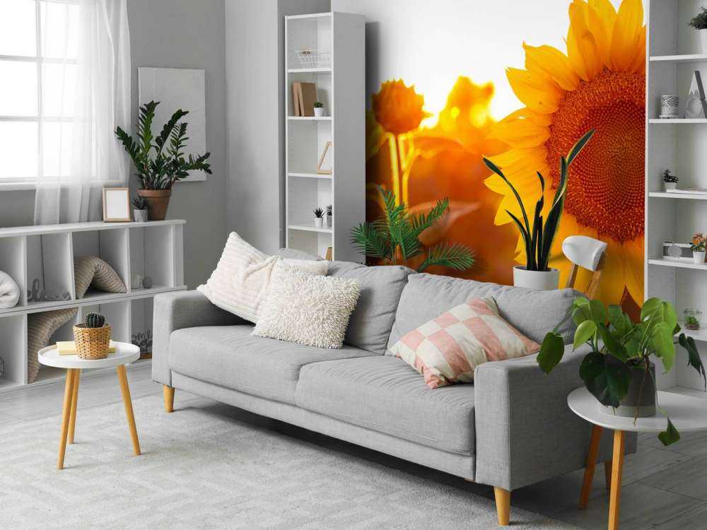 Warm sunflower field