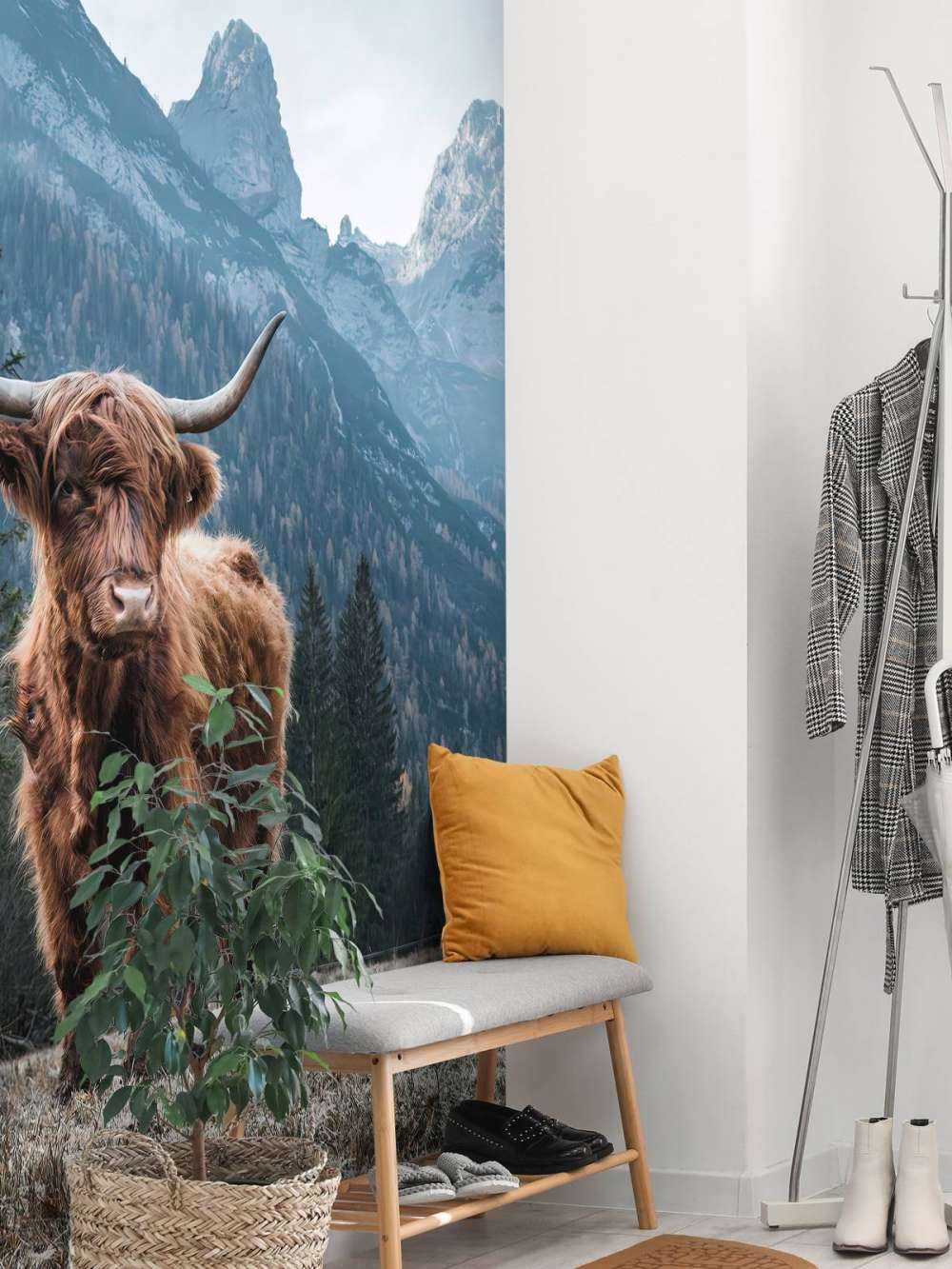 Scottish highlander among the trees