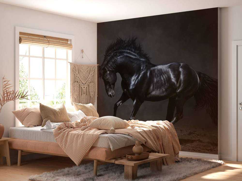 Black stallion