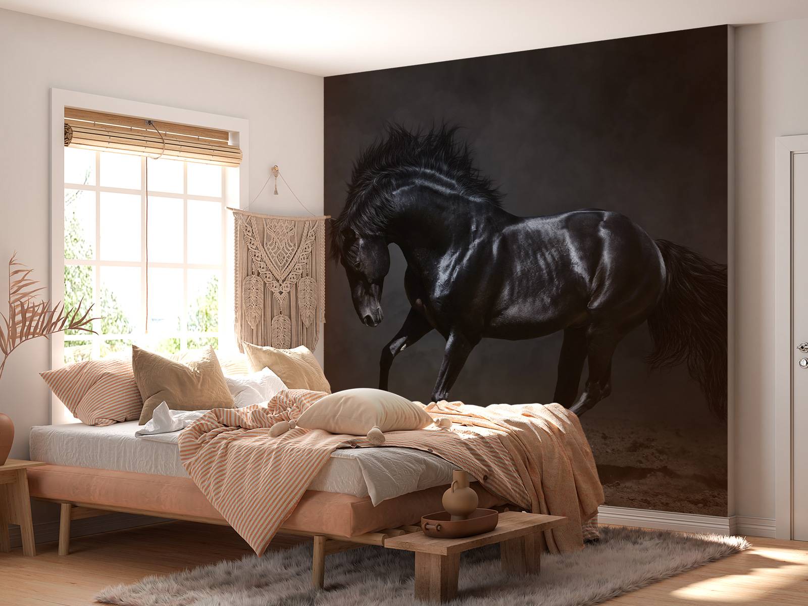 Black stallion