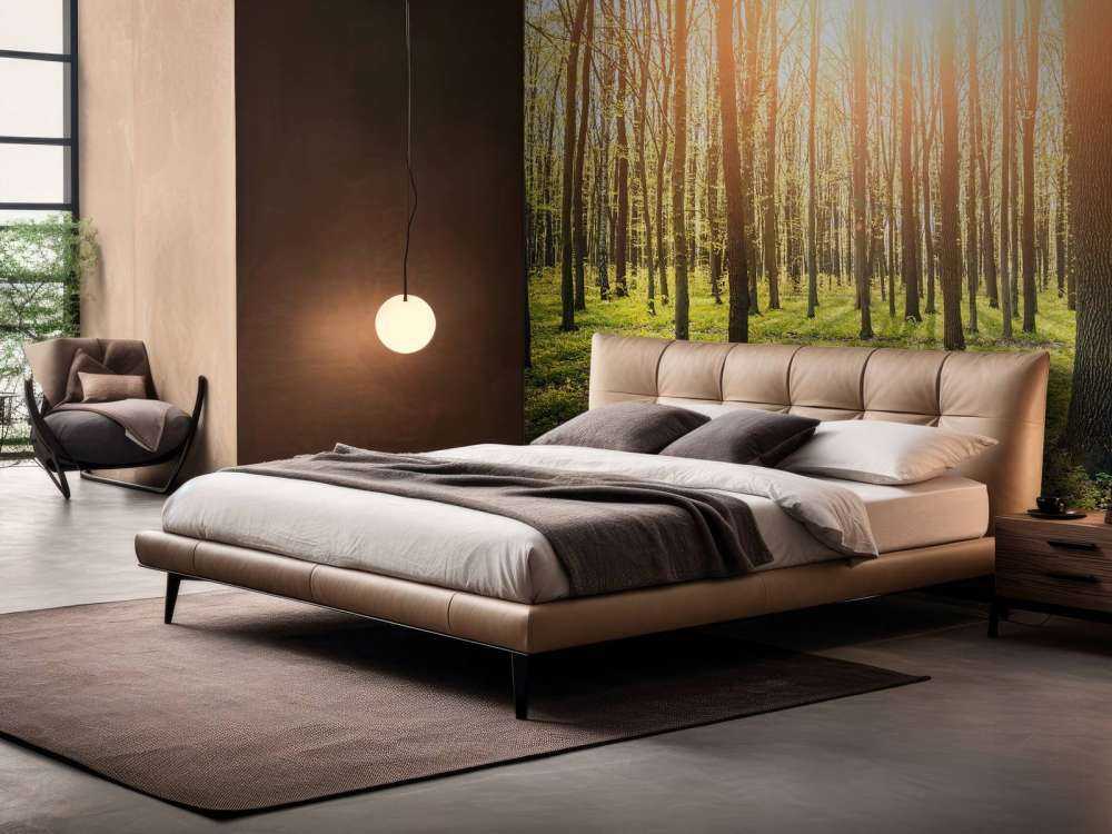 Evening sun in a forest